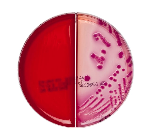 Columbia CNA Aesculin Selektiv-Agar / Ma